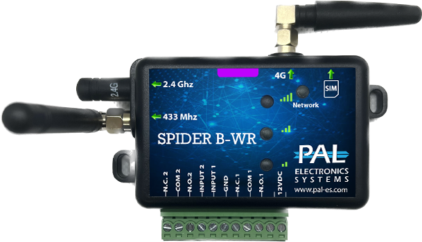 Spider B-WR